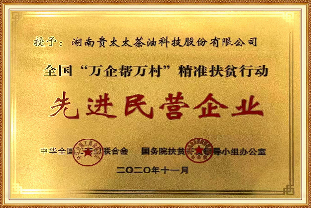 全國(guó)“萬企幫萬村”精準(zhǔn)扶貧行動(dòng)先進(jìn)民營(yíng)企業(yè)