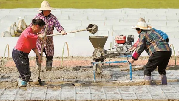 湖南日?qǐng)?bào)丨聚力打造“生物制造谷”——常德貫徹落實(shí)全國(guó)兩會(huì)精神，推動(dòng)合成生物制造產(chǎn)業(yè)高質(zhì)量發(fā)展